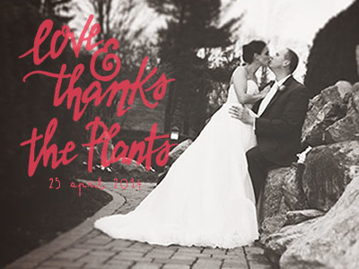 Wedding Thank You Cards hand hand lettering lettering photo editing thank you cards