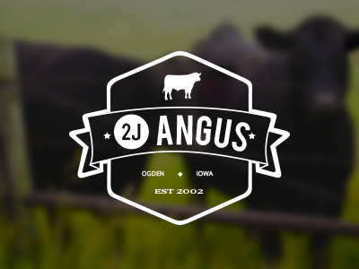Angus Ranch Logo agriculture angus beef cow farm logo ranch ribbon seal