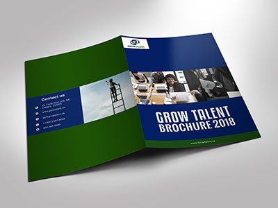 Brochure Design branding design illustration