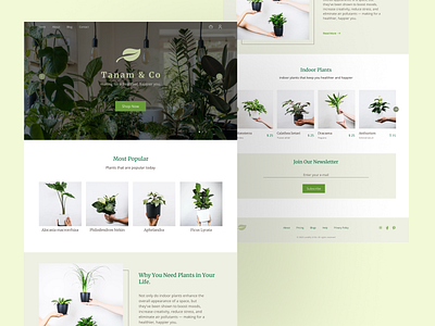 #Exploration - Plant Shop Web Design clean ui concept design design green landing page landing page concept landing page design minimal minimalist design plant plants typography ui uidesign uiux ux web design website concept website design