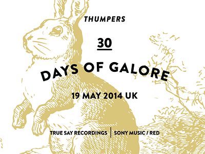 THUMPERS - 30 Days of Galore 02 gold illustration john marcus music rabbit thumpers typography uk vector