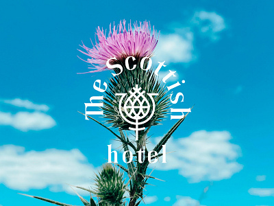 The Scottish hotel brand brand identity branding branding design design graphic design hotel logo scotland vector