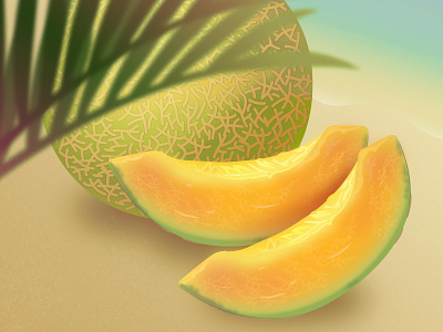 Exotic Melon Shot 2d exotic fruit honey illustrator melon vector