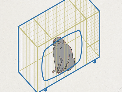 Monkeybox illustration