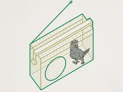 Radio Parrot. Dedicated to BBC Radio 1 cage illustration minimalism modern parrot radio