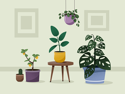 plants