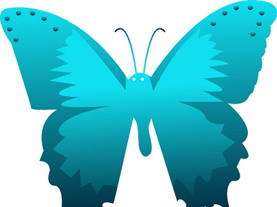 Butterfly butterfly illustration