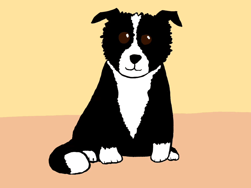 Howzer animation border collie dog dog dancing dog illustration frame by frame illustration