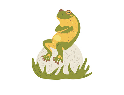 Funny frog sits on a stone amphibian card chest comic folded freshwate frog funny green hand drawn illustration jump nature paws sits stone summer swamp toad vector
