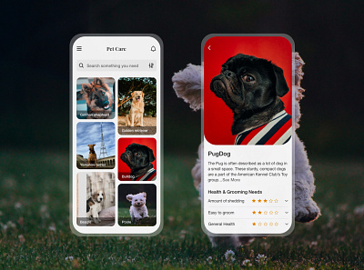 Pet Care app design ui ux