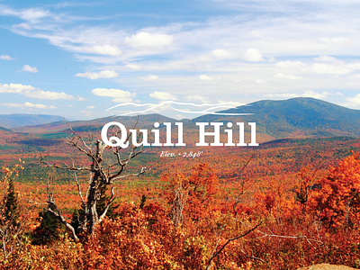 Quill Hill Maine Logo branding design graphic design logo maine nature typogaphy