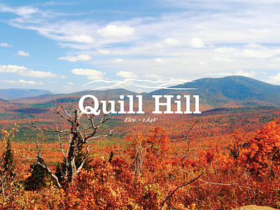 Quill Hill Maine Logo