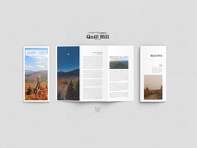 Quill Hill Brochure branding brochure design design graphic design layout print design typography