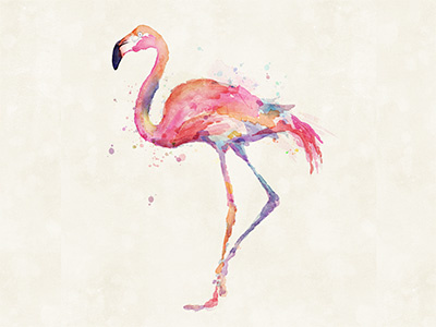 Flamingo digital painting watercolor