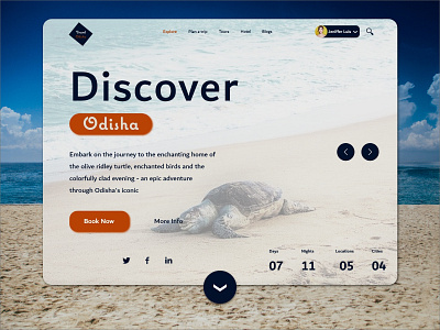 UI Design || Travel Agency