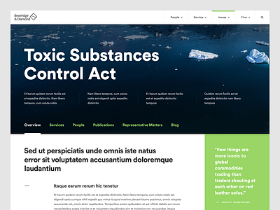 Environmental Law Firm II issue law law firm minimal simple type typography ui ux web website