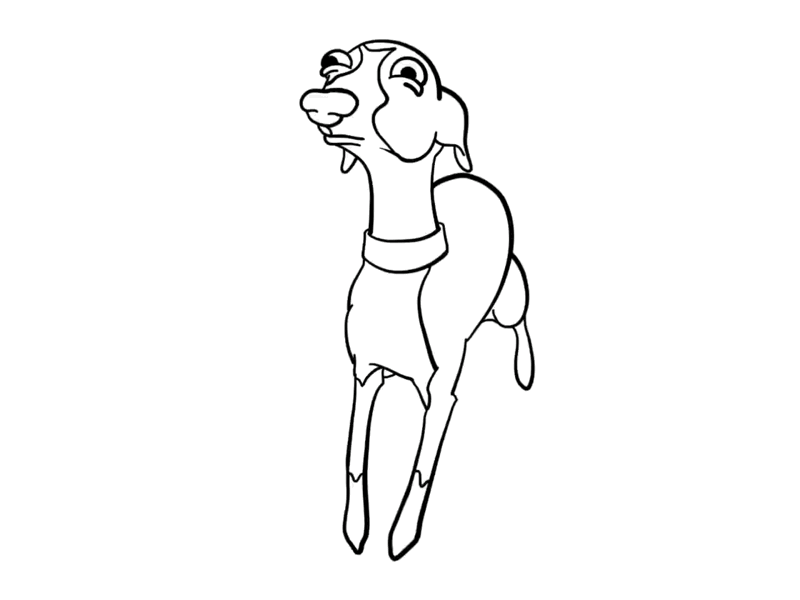 But, but..... animation dog frame by frame gif illustration procreate whippet