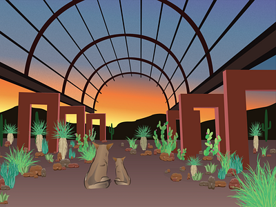 Desert Botanical Coyote Sunset