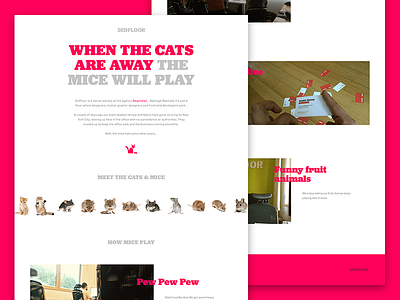 When The Cats Are Gone Landing clean color fun landing layout office one page photography typography website