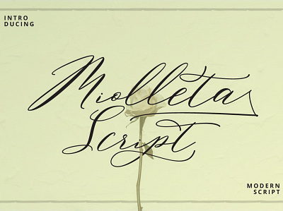 Miolleta Calligraphy Free Font design font font awesome font design free free font free fonts freebies typeface typography