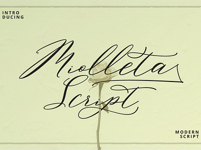 Miolleta Calligraphy Free Font