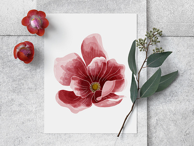 Magnolia botanic botanical art botanical illustration design digital digital art digital illustration floral flower illustration mockup nature nature illustration print