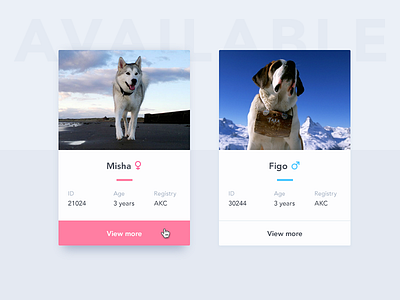 Profile cards adoption card dogs flat hover material design profile ui ux widget