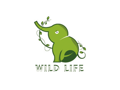 Wild Life animation branding design illustration logo minimal type typography vector website