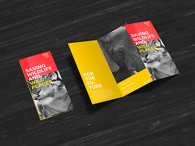 Free Premium Z-Fold Brochure Mockup PSD