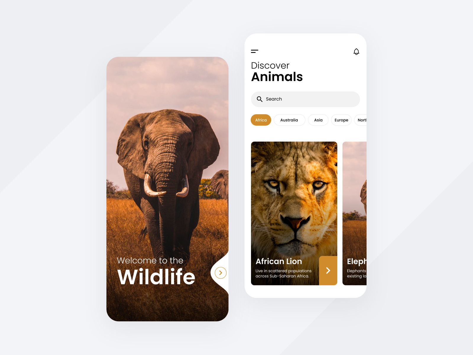 Wildlife Mobile App by Zoltán Czékmány on Dribbble