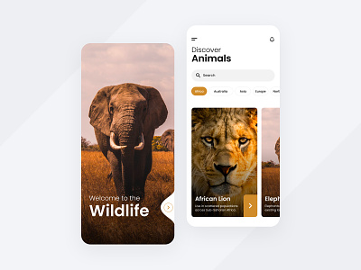 Wildlife Mobile App africa animals cards clean design elephant interface lion minimal mobilappdesign mobile mobile ui ui ux wild wildlife