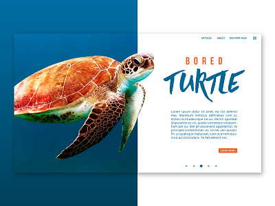 Bored Turtle Webdesign bootstrap creative designer interactive layout template typography web design webdesign website