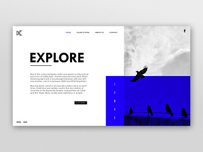 Explore Webdesign bird blue bootstrap design explore layout template typography web webdesign website