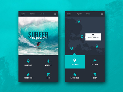 Surfer Paradise UI app application branding design ios iphone logo ui ux wireframe