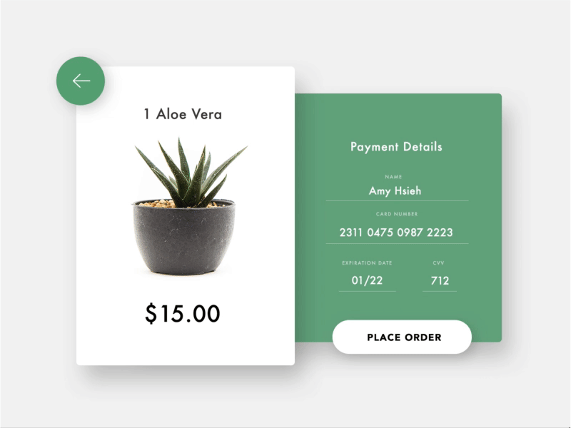 UI #21 Credit Card Checkout