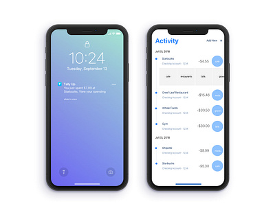 Tally Up - Your Spending App Concept