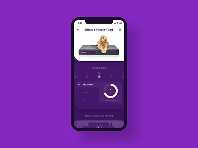 UI 006 - User Profile 006 app app design bed calendar cat chart daily 100 daily challenge daily ui daily ui 006 dog metrics pet pie chart profile purple purple mattress user profile video