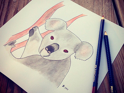 Koala Illustration art brush drawing illustration inspiration koala pencil sketch watercolor