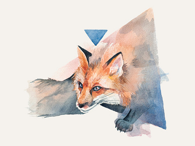 Fox fox illustration peculiar analogies triangle watercolor