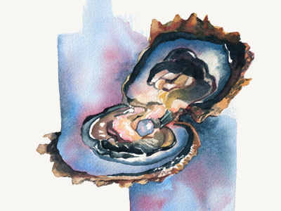 Oyster illustration oyster painting pearl watercolor