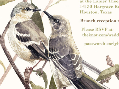 Invitation Detail birds detail illustration invitation mockingbird painting watercolor wedding wedding invitation