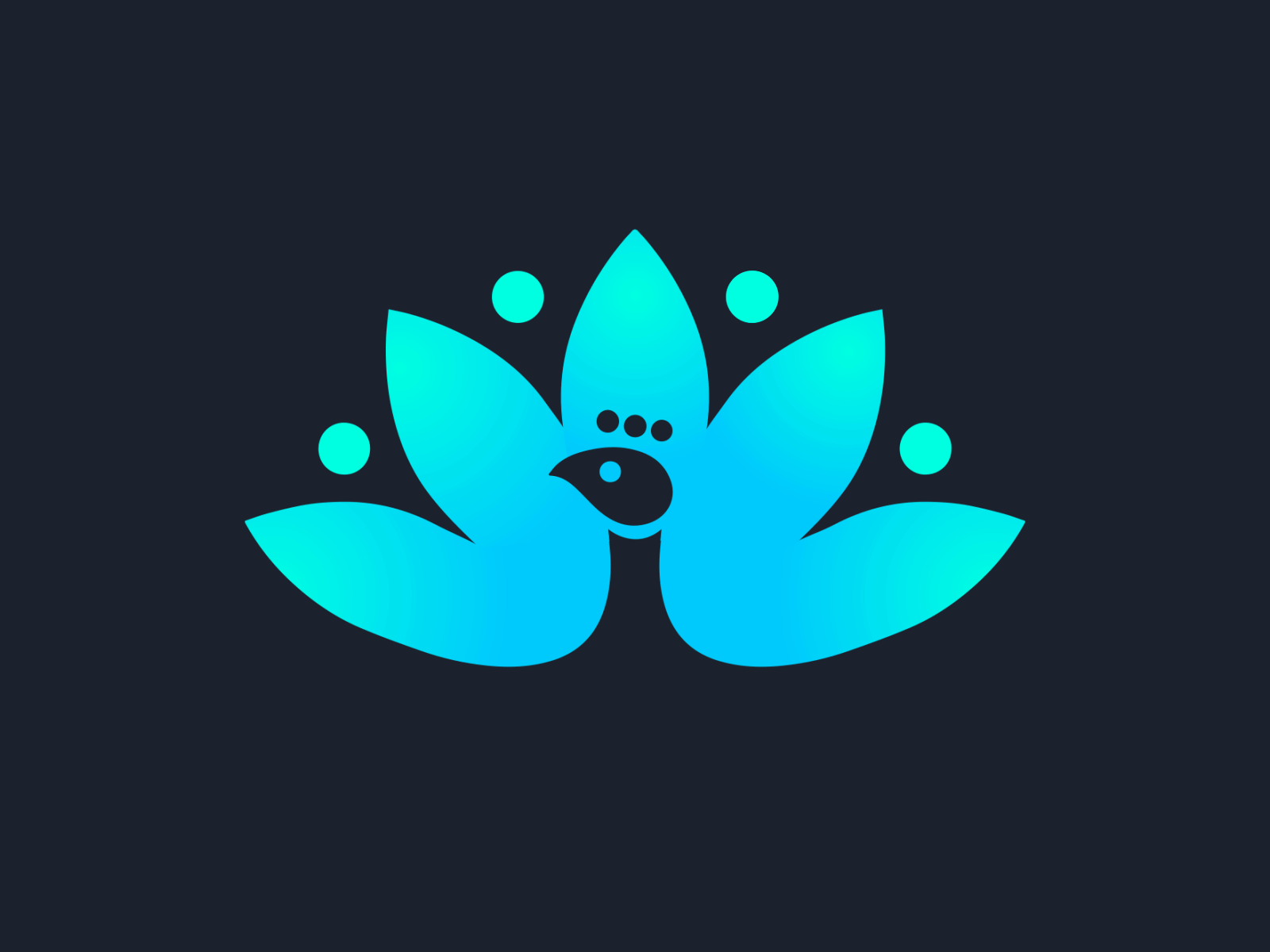Peacock logo animation