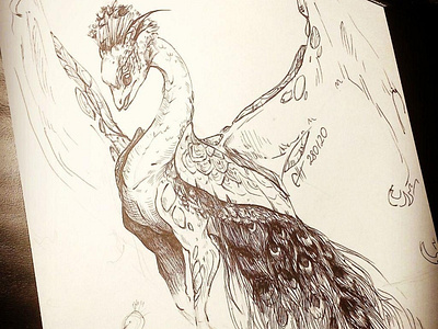 Igna character character design comic art creature design dragon funart illustration peacock penart scketch