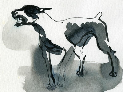 The dog in the race. dog drawing graphic illustration ink joe morse