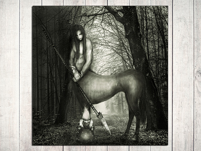 Centaur adobe photoshop animal centaur digital digital art digital illustration digital painting digitalart dwarf forest illustration