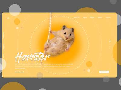 Hamster branding design designer typography ui ui ux uidesign uiux web webdesign