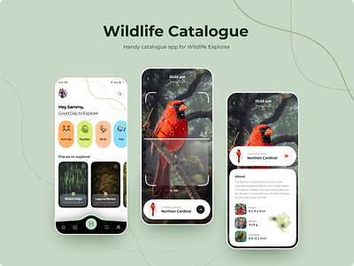 Wildlife Catalogue App Concept! branding design designer illustration logo ui ui ux uidesign uiux webdesign