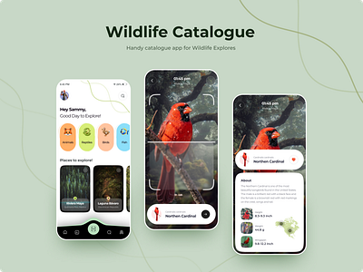 Wildlife Catalogue App Concept!