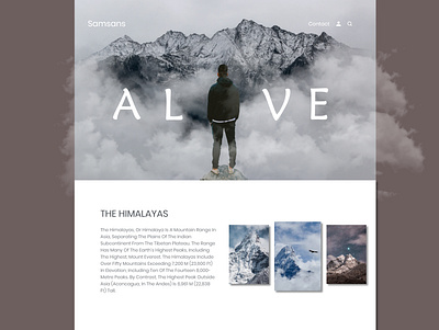 Himalayas branding design designer illustration typography ui ui ux uidesign ux webdesign