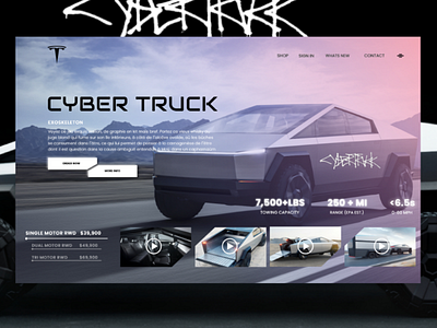 Tesla cyber truck cyber truck